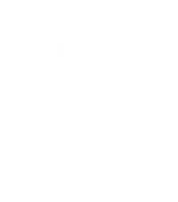 University of Brooklyn